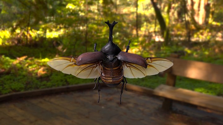 0602-S 3D Model