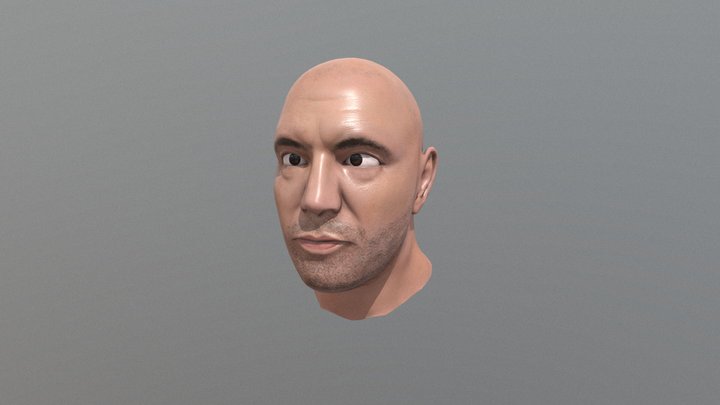 Joe Rogan Bust 3D Model