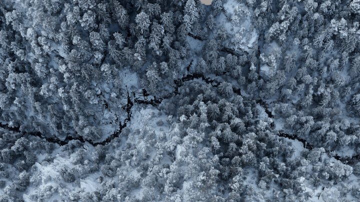 A Frozen Creek in the Alps 3D Model