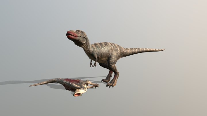 Gorgosaurus Eating
