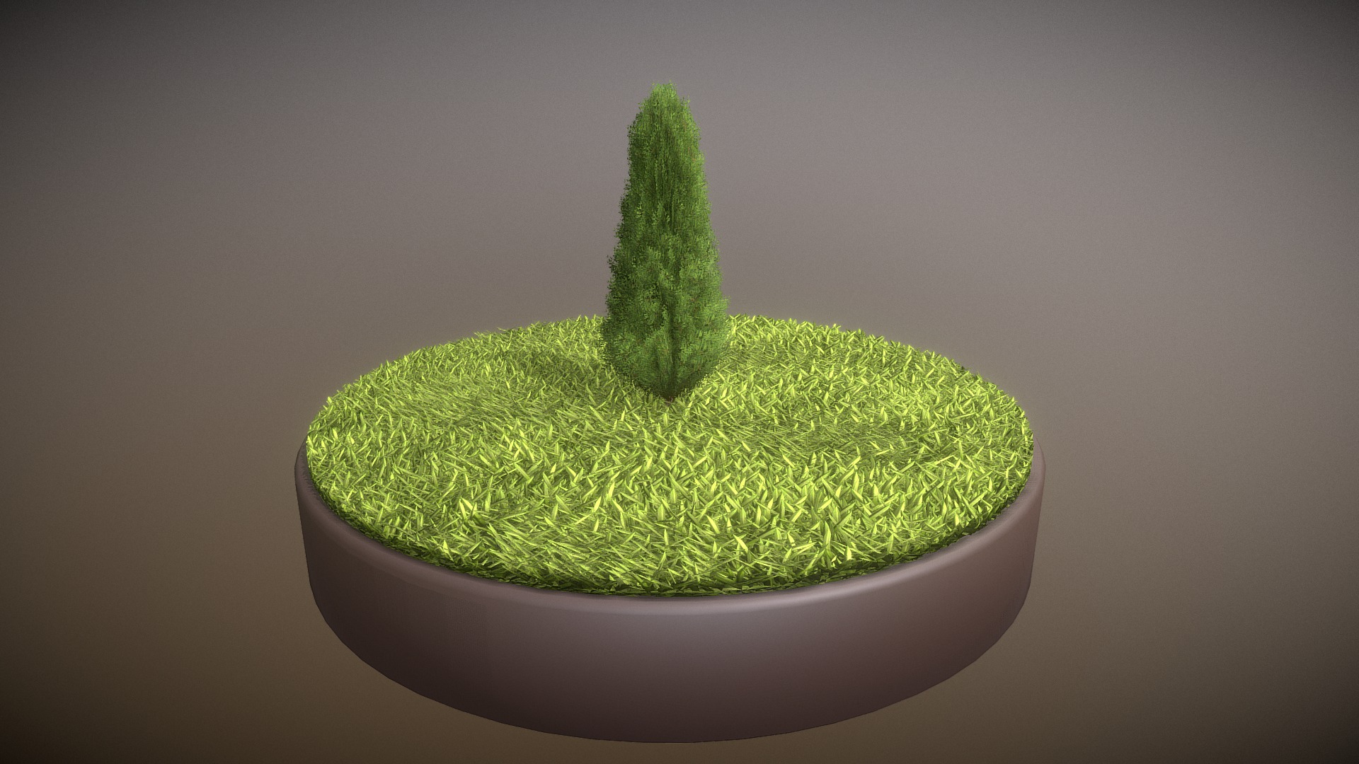3D model Cypress – Version 5 – 1 Meter - This is a 3D model of the Cypress - Version 5 - 1 Meter. The 3D model is about a cactus in a pot.