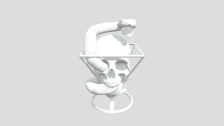 Skull and Snake 3D Model