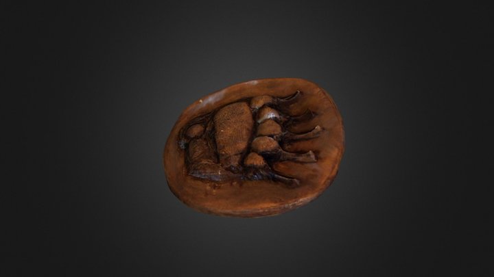 Grizzly Bear Paw Plaster Cast 3D Model
