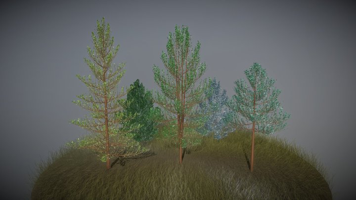 Small Forest 3D Model
