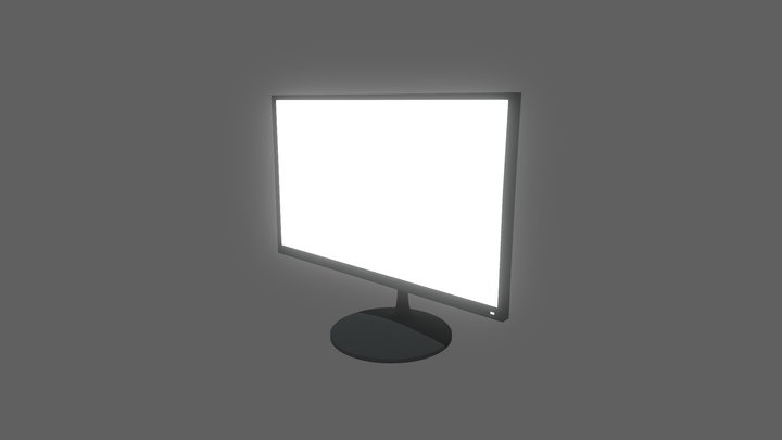 Computer Monitor