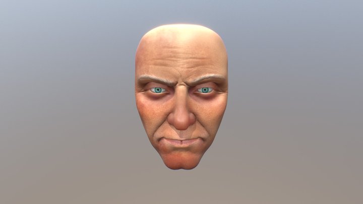 Face 3D Model
