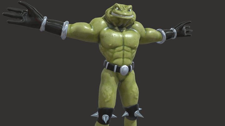 Zits 3D Model