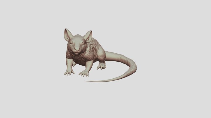 Arma_rat 3D Model