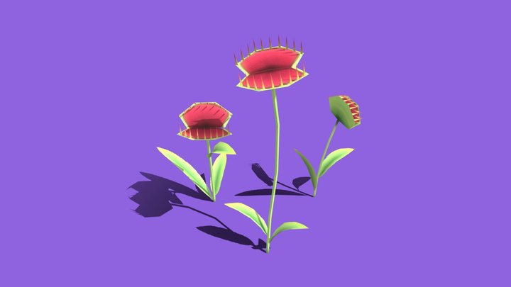 Venus Fly Trap 3D Model