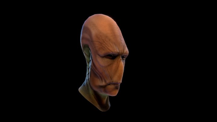 Dart_Plegas Head 3D Model
