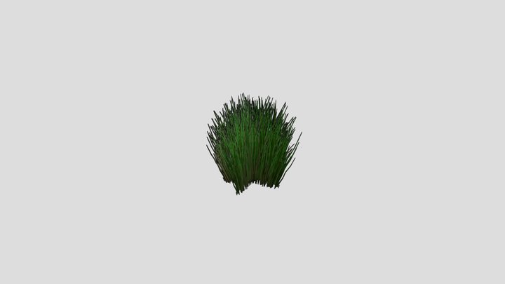 Grass_01 3D Model