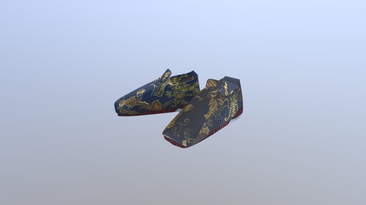 Novice Shoes Practice 3D Model