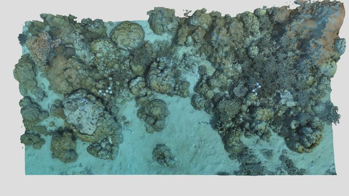 Masig_BA1S_P4_202302 3D Model