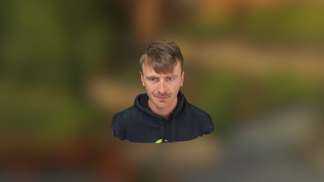 Henning 3D Model