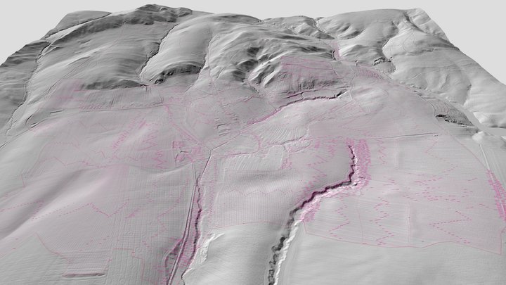 3D model katastru Vřesovic s vrstvou parcel 3D Model