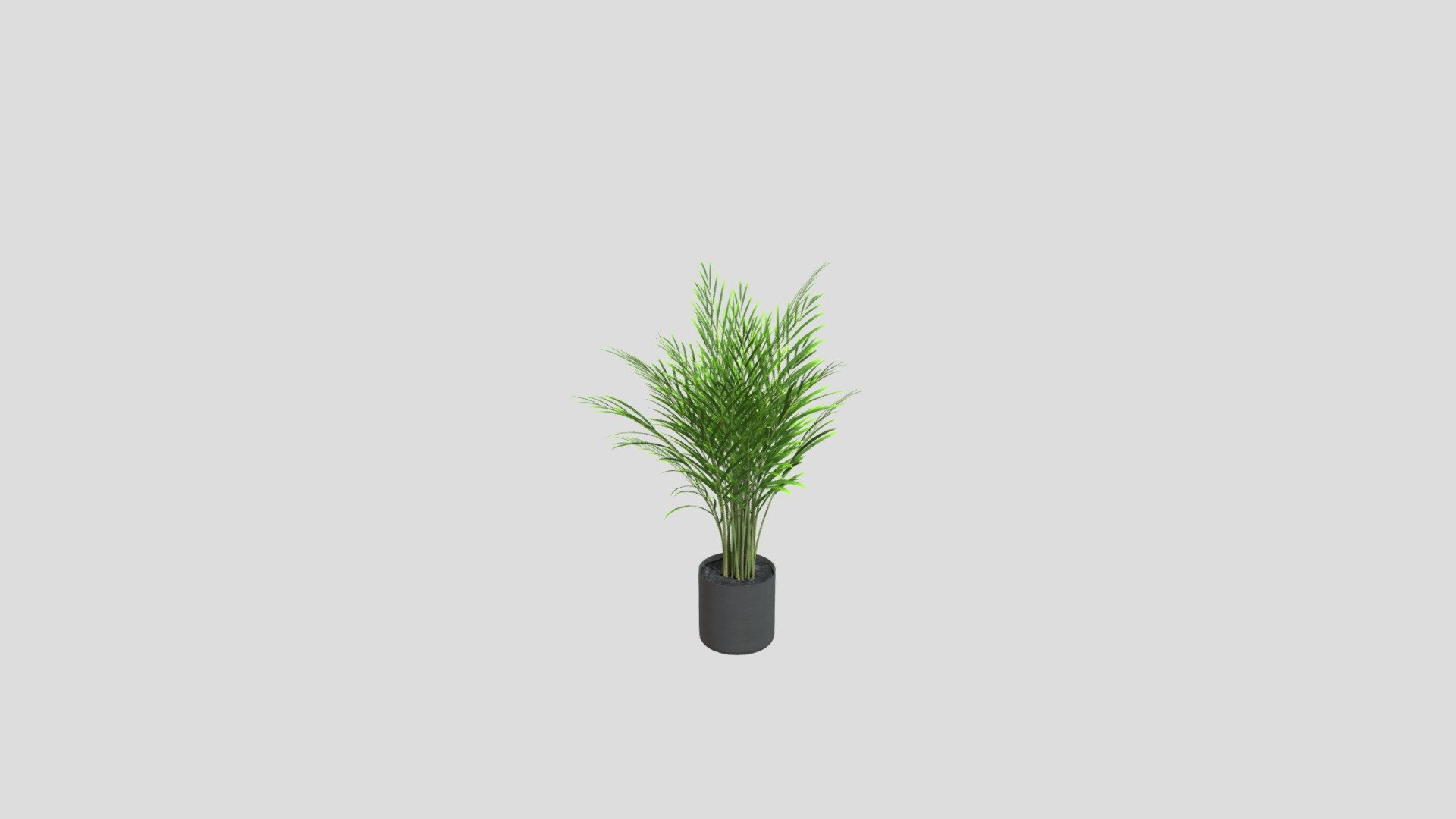 Plant2
