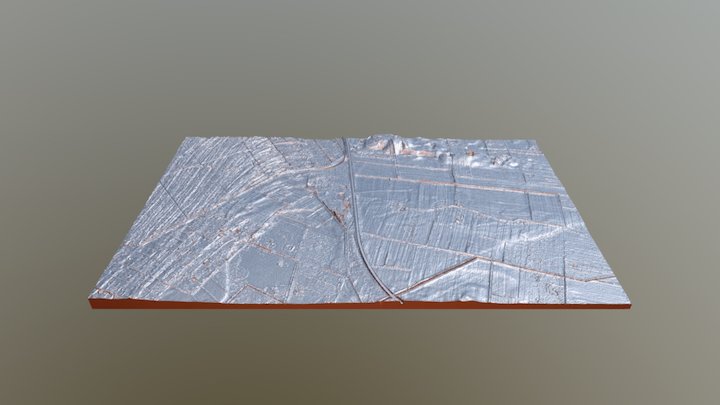 Trundholm Mose DEM40cm Model Ver2 3D Model
