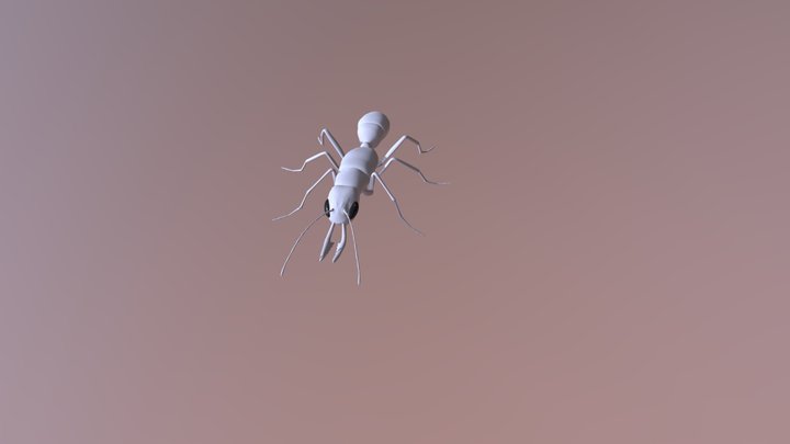 Ant5 3D Model