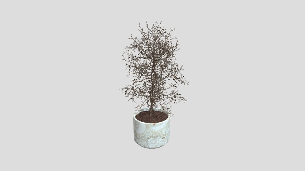 Dry Branch Tree Planter