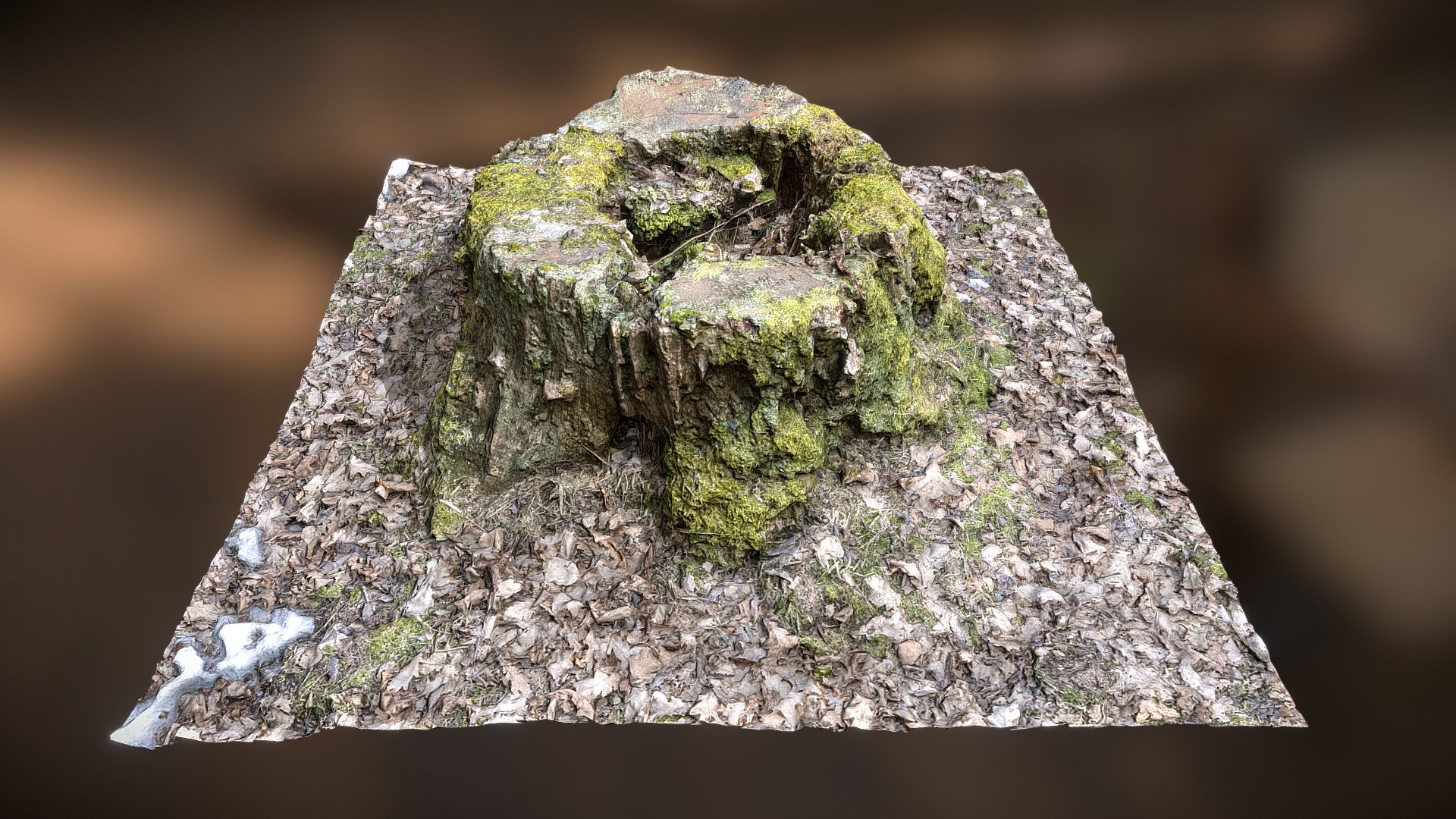 Stump 12
