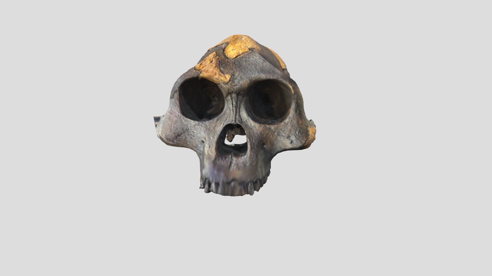 3D Object Demo