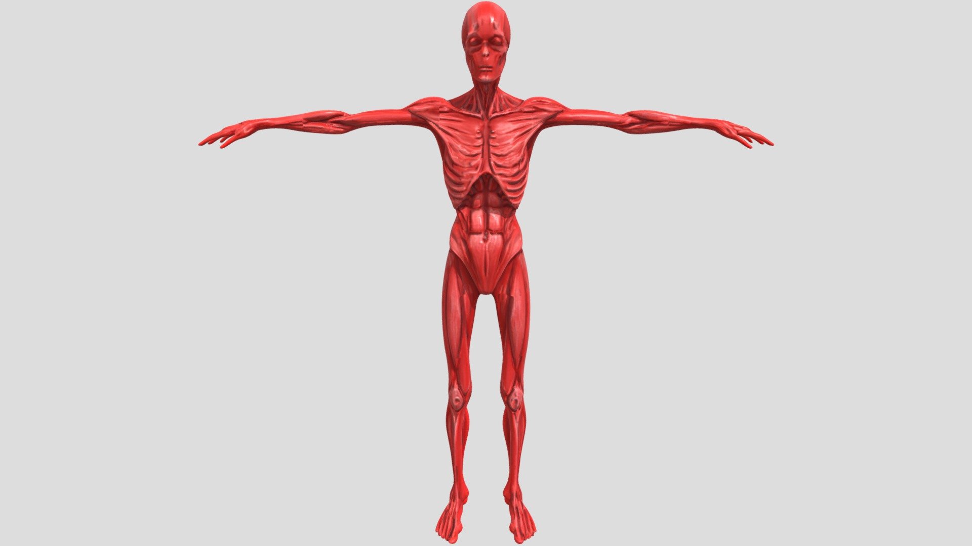 Reed - 3D model by Eloy Visual (@eloyvisual) [d0098c4] - Sketchfab