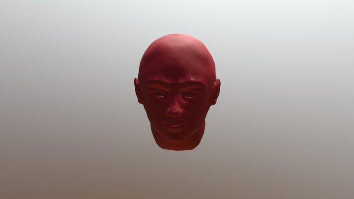 ROSTO 3D Model