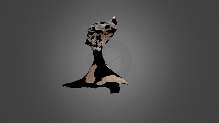 野柳女王頭(33張照片) 3D Model