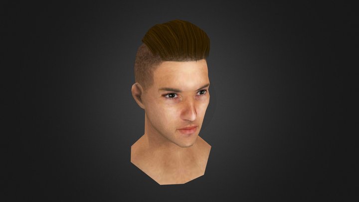 Back Comb Hairstyle 3D Model