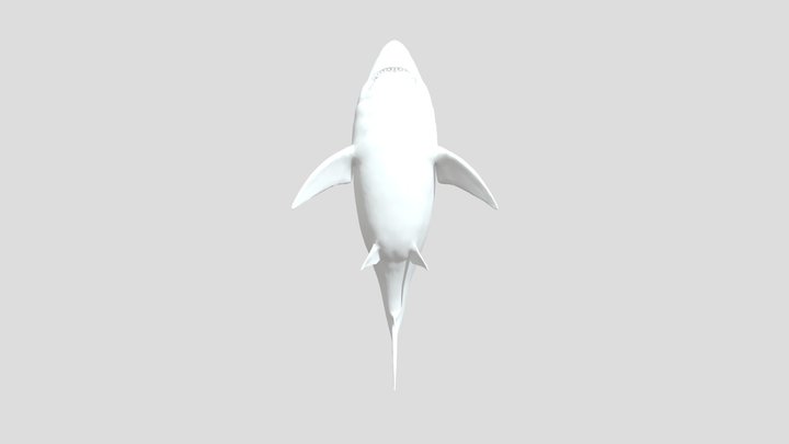 ARK Megalodon 3D Model