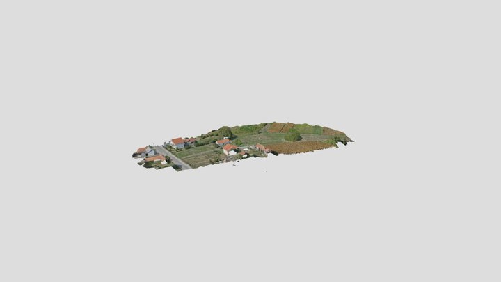 hranic_trpimir_2 3D Model