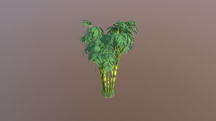 bamboo tree 3D Model