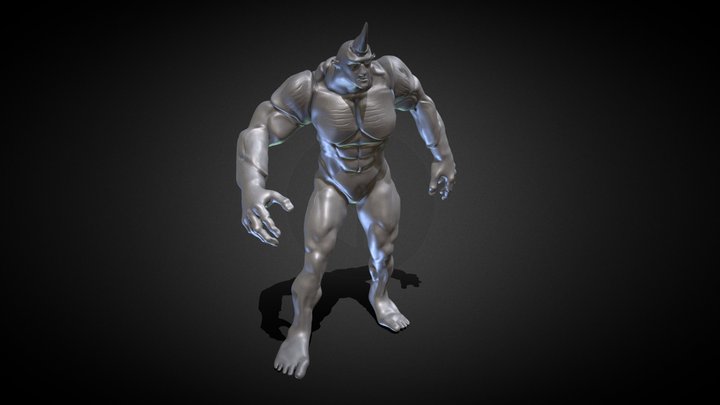 Rhino 3D Model