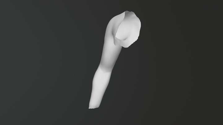Arms Midterm 3D Model
