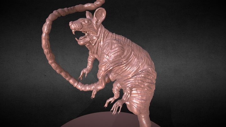Laboratory Rat 3D Model