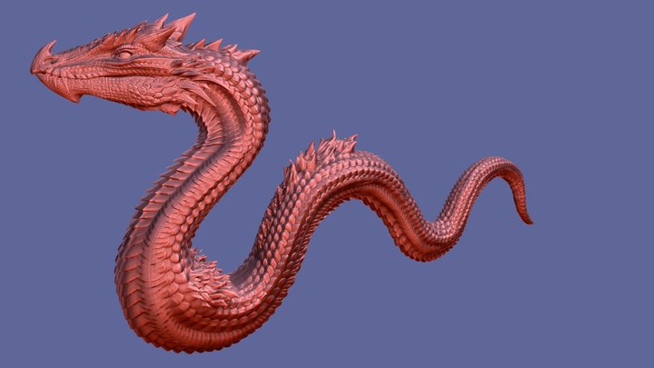 Snake Dragon 3D Model