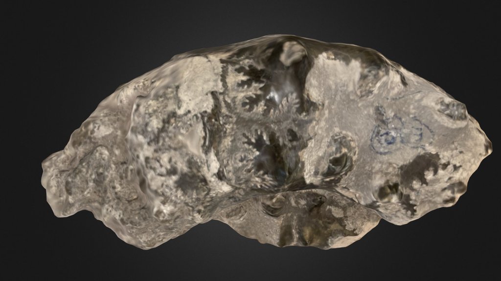 morceau ammonite