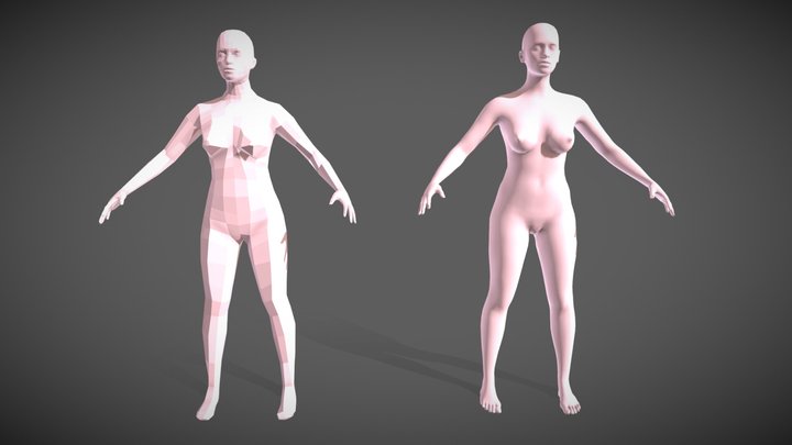 Model  woman with a low and high polygonal grid 3D Model