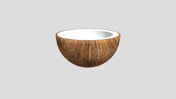 Coconut 3D Model