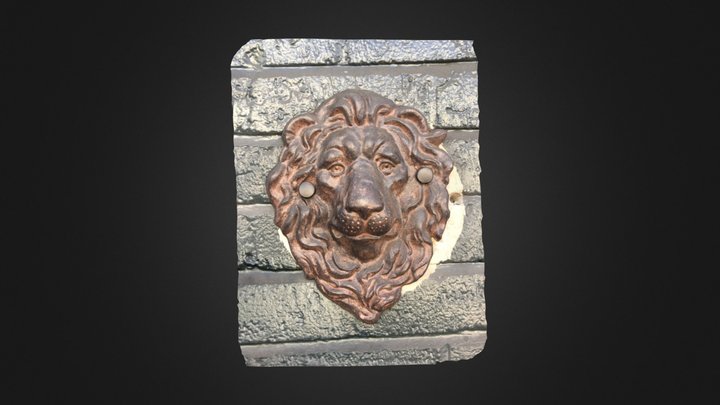 Wall Lion on walk through SF