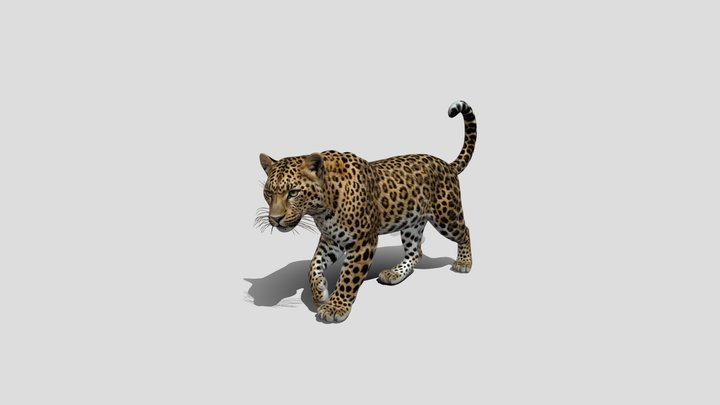 Prowling Leopard 3D Model Free – Modello 3D gratuito STL