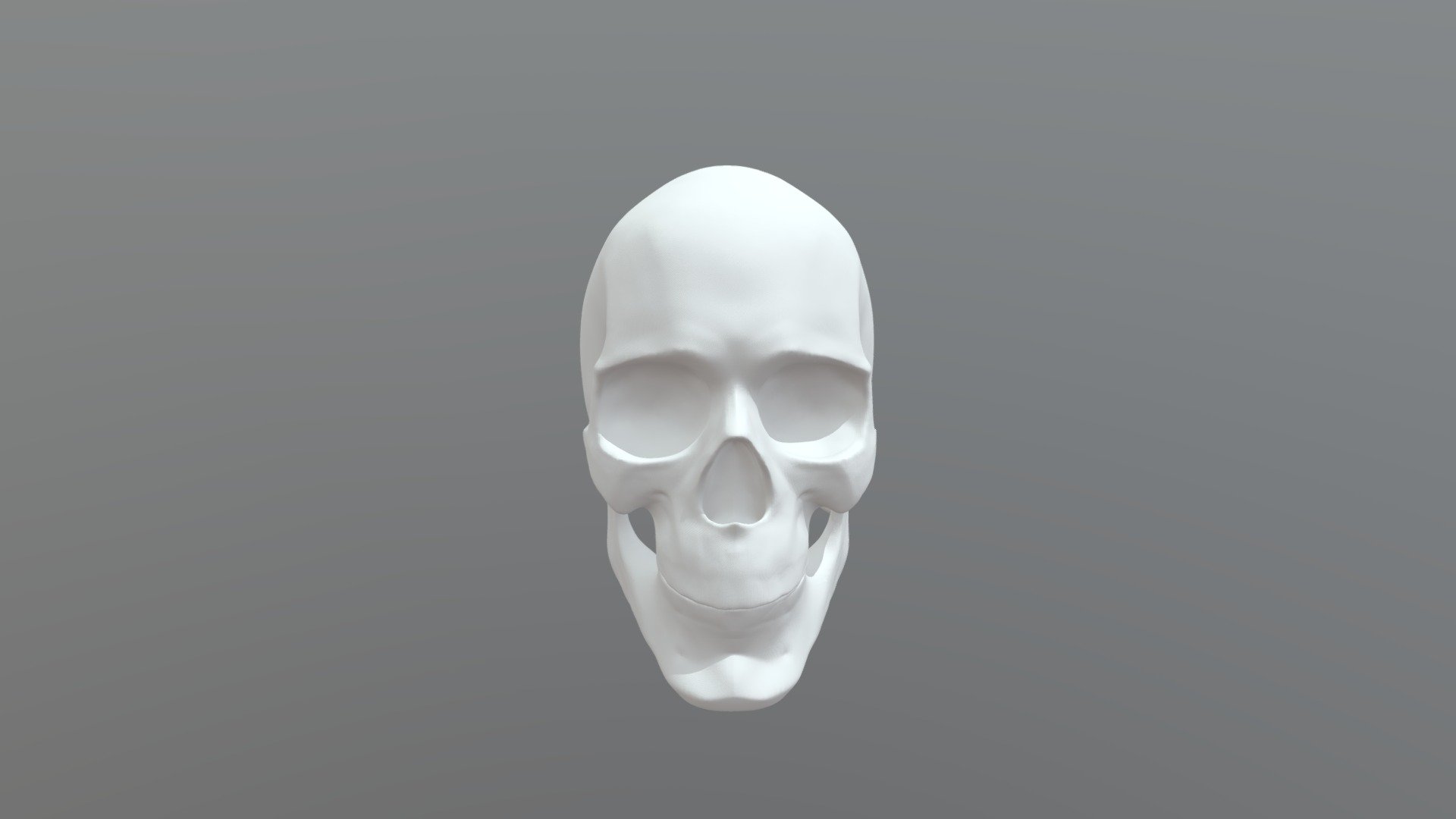 skull - 3D model by liyuda322 [d02dec5] - Sketchfab