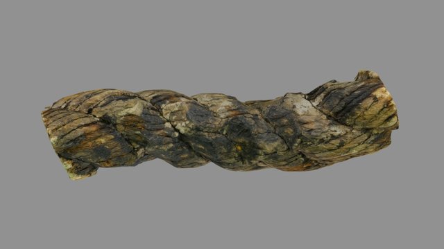 Mary Rose rigging 3D Model