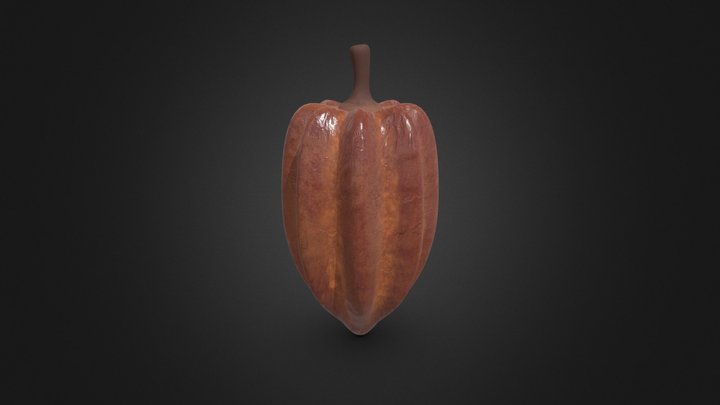 3D Stylized Cocoa, a Food & Drink 3D Model by BaconTaco (Thumbnail 2 of 2)