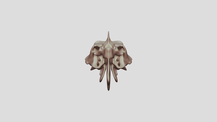 Etmoide 3D Model