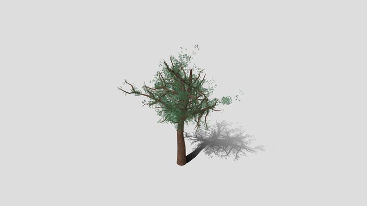 Foliage Tree 3D Model