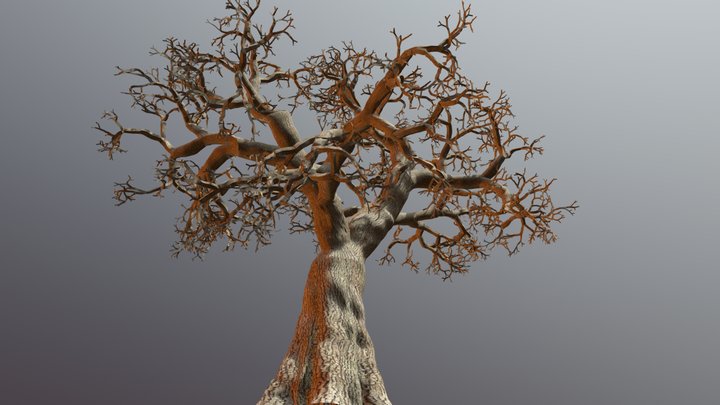 NOS (Slendrina X and Forest) - Download Free 3D model by DVUnit [02ea706] -  Sketchfab