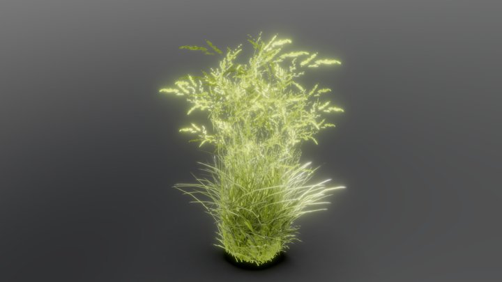 Tall Grass – Free 3D Model STL