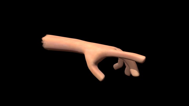 Hand Study #0 3D Model