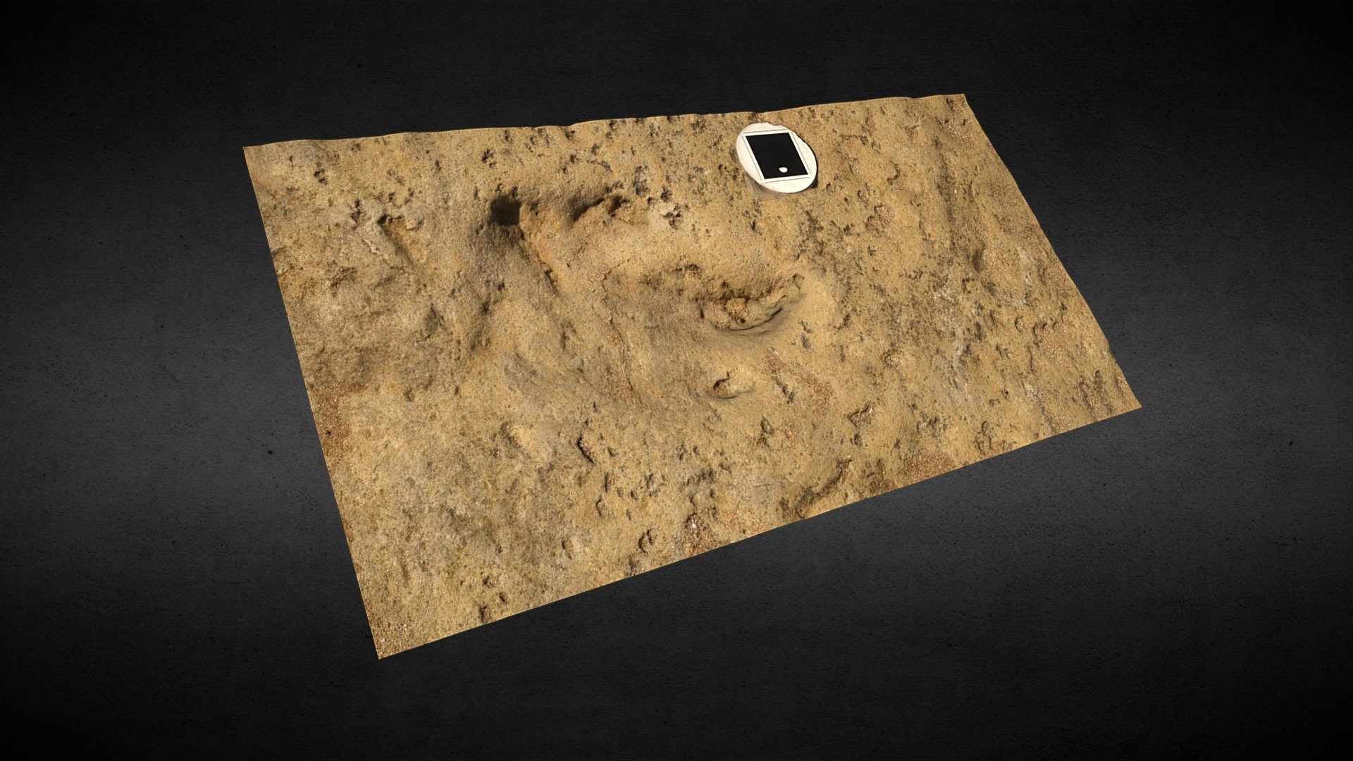 Dinosaur footprint (Tr1) at Anza, Morocco